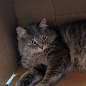 Meet your Posher, Gwen